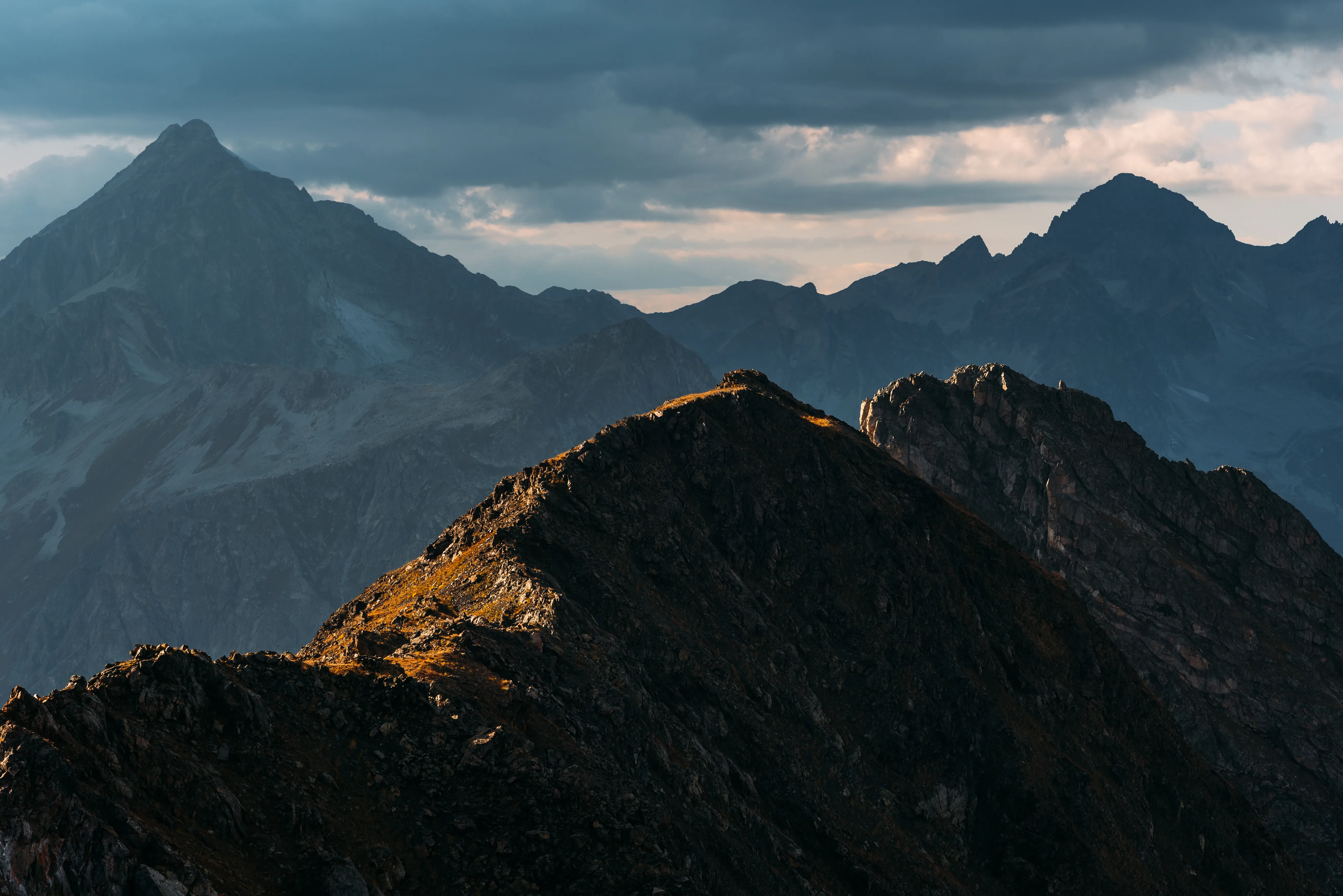 The Digital Wild: Why Rugged Infrastructure Matters